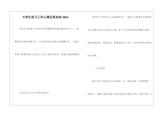 大学生实习工作心得反思总结2024