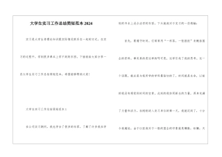 大学生实习工作总结简短范本2024