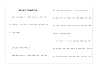大学生实习工作自查心得