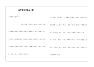 大学生实习总结4篇