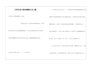 大学生实习报告模板汇总4篇