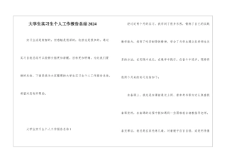 大学生实习生个人工作报告总结2024