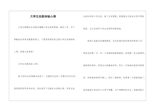 大学生实践体验心得