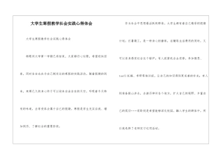 大学生寒假教学社会实践心得体会