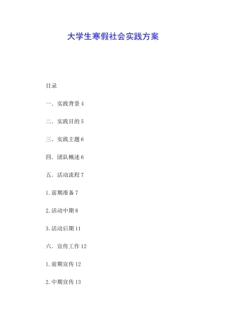 大学生寒假社会实践方案
