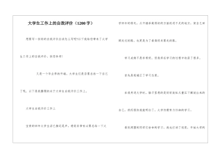 大学生工作上的自我评价