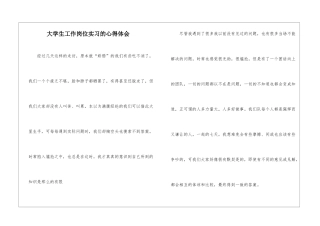 大学生工作岗位实习的心得体会