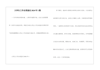 大学生工作自我鉴定2024年5篇