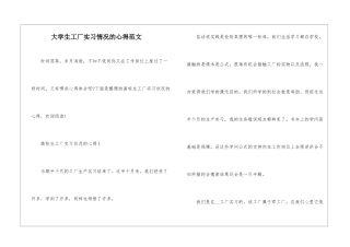 大学生工厂实习情况的心得范文
