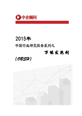 剂(OBSH)市场监测及发展策略咨询报告