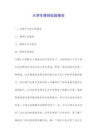 大学生推销实践报告-