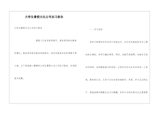 大学生暑假文化公司实习报告