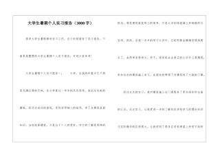大学生暑期个人实习报告