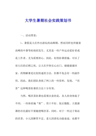 大学生暑期社会实践策划书