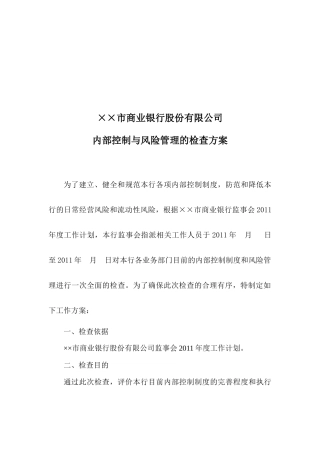 内部控制与风险管理检查