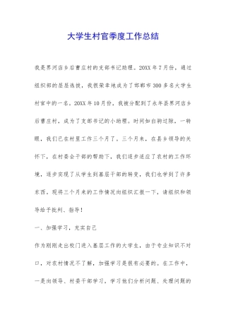 大学生村官季度工作总结-