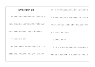 大学生村官实习心得