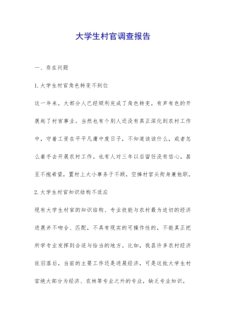 大学生村官调查报告-