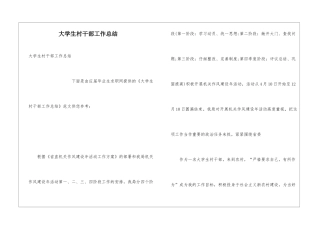 大学生村干部工作总结
