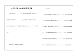 大学生毕业2024年实习报告5篇