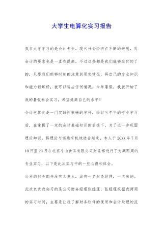大学生电算化实习报告-