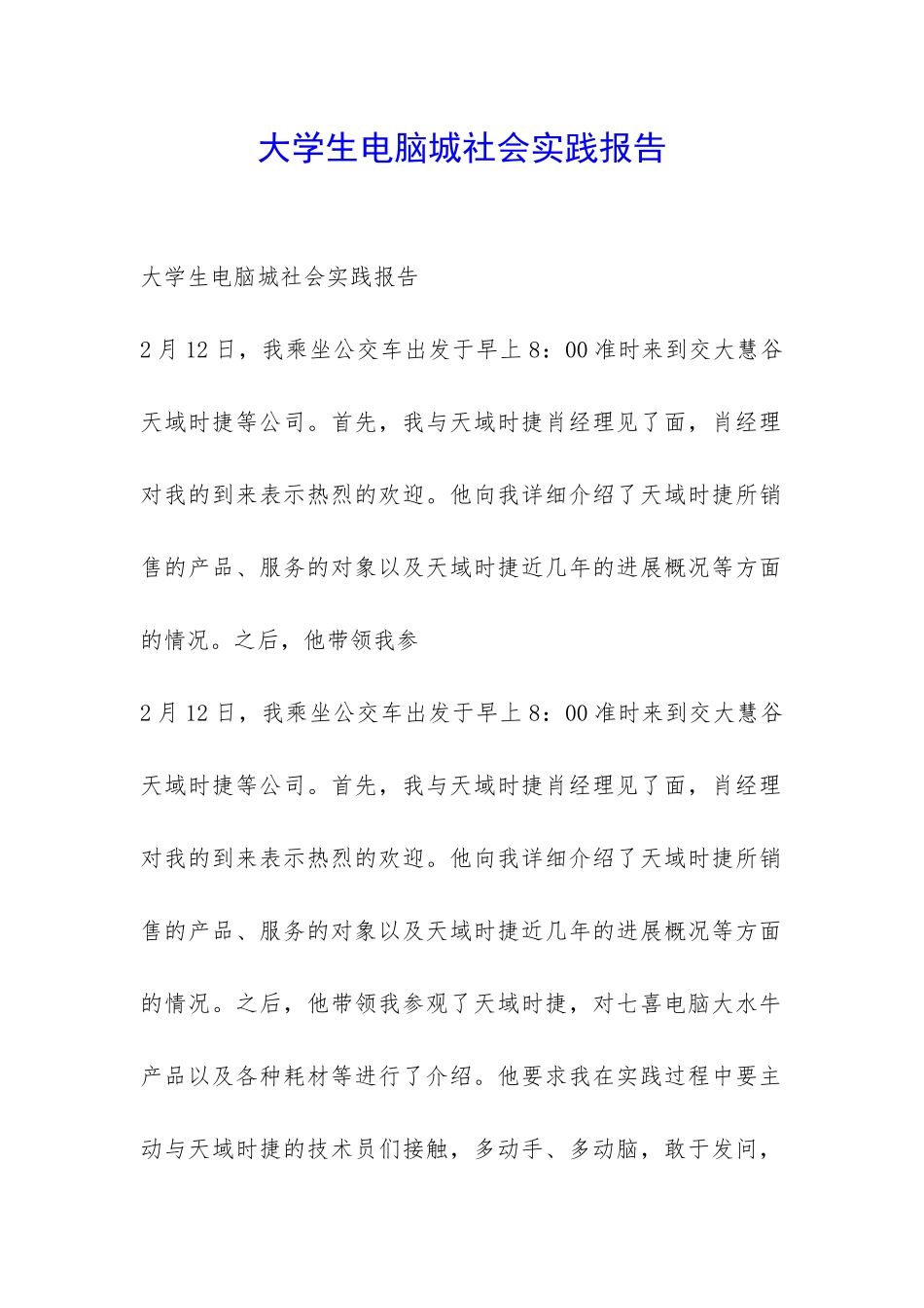 大学生电脑城社会实践报告-_第1页