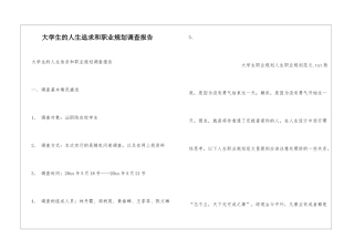 大学生的人生追求和职业规划调查报告