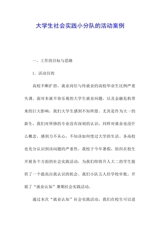 大学生社会实践小分队的活动案例