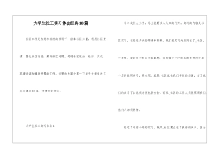 大学生社工实习体会经典10篇