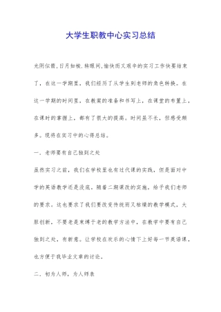 大学生职教中心实习总结-