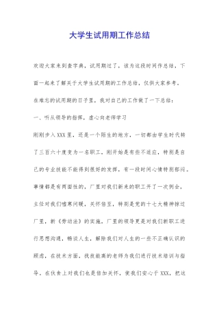 大学生试用期工作总结-