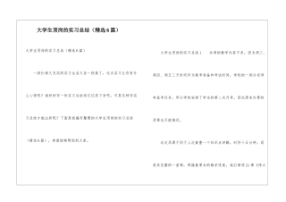 大学生顶岗的实习总结