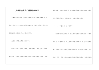 大学社会实践心得体会800字