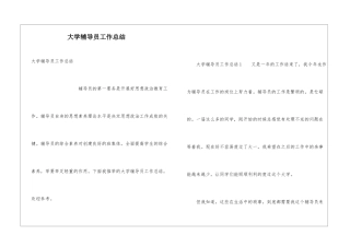 大学辅导员工作总结