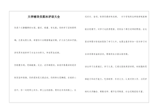 大学辅导员期末评语大全