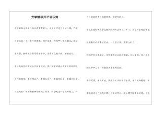 大学辅导员评语示例