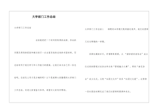 大学部门工作总结
