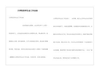大学院系学生会工作总结
