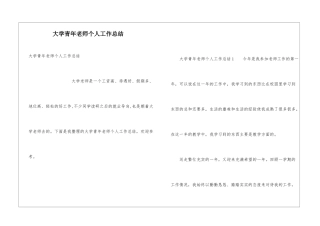 大学青年教师个人工作总结