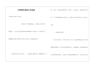 大学青年教师工作总结