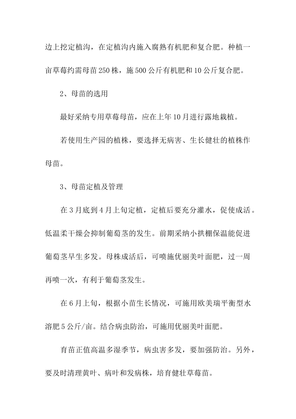 大棚草莓的种植时间_第2页