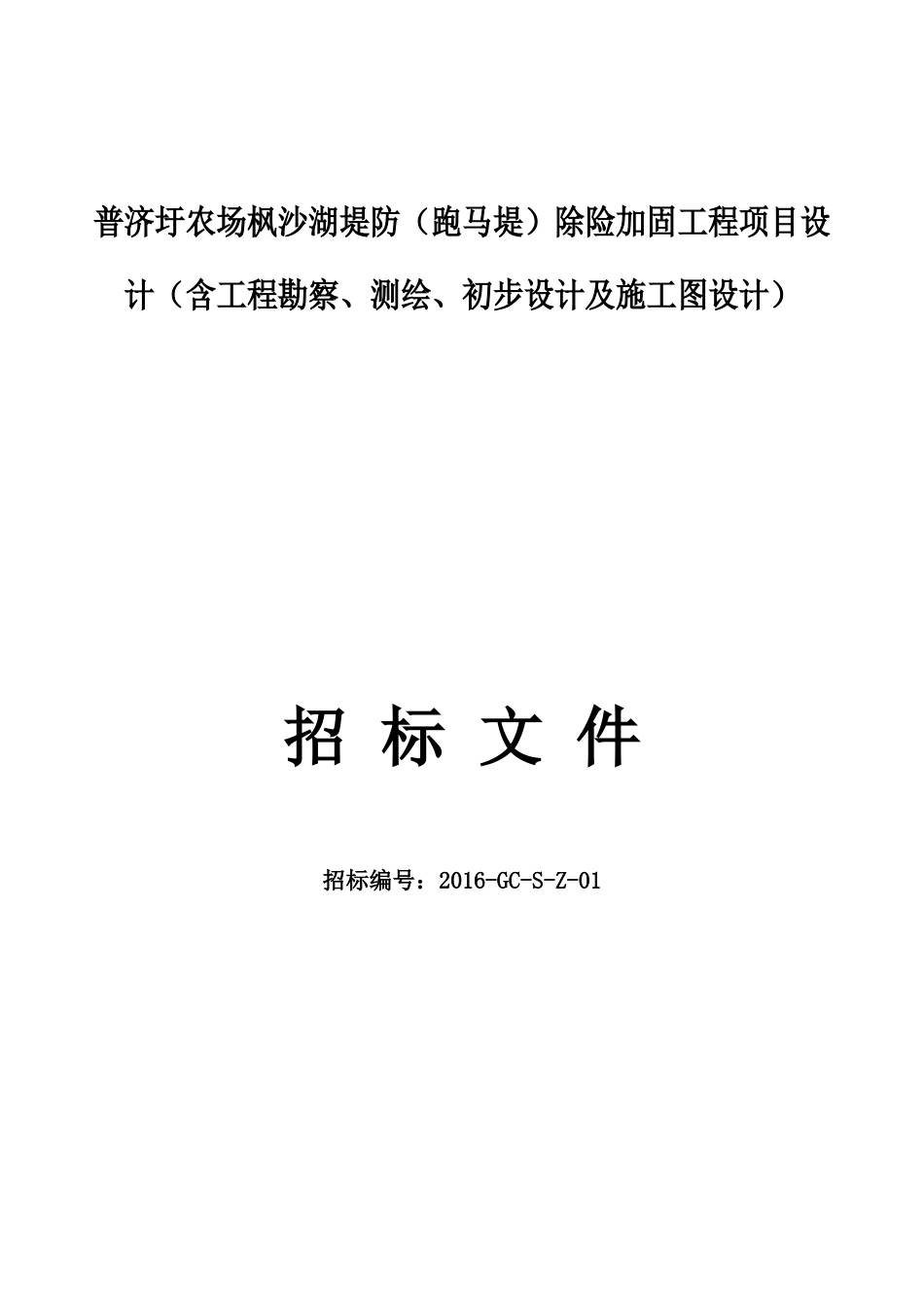 农场枫沙湖堤防除险加固工程项目设计招标文件_第1页