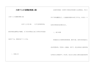 大班个人计划模板锦集4篇
