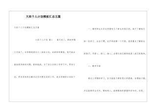 大班个人计划模板汇总五篇