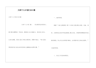 大班个人计划汇总9篇