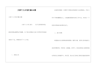 大班个人计划汇编10篇