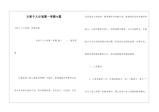 大班个人计划第一学期9篇