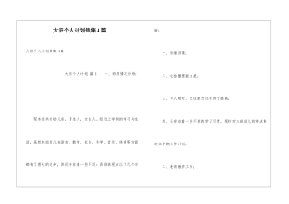 大班个人计划锦集4篇