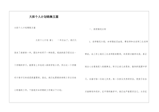 大班个人计划锦集五篇