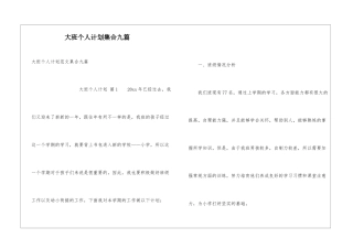 大班个人计划集合九篇
